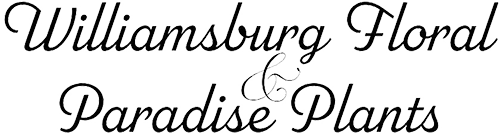 Williamsburg Floral & Paradise Plants